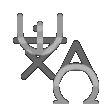 Languages icon animation