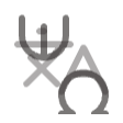 Language icon animation
