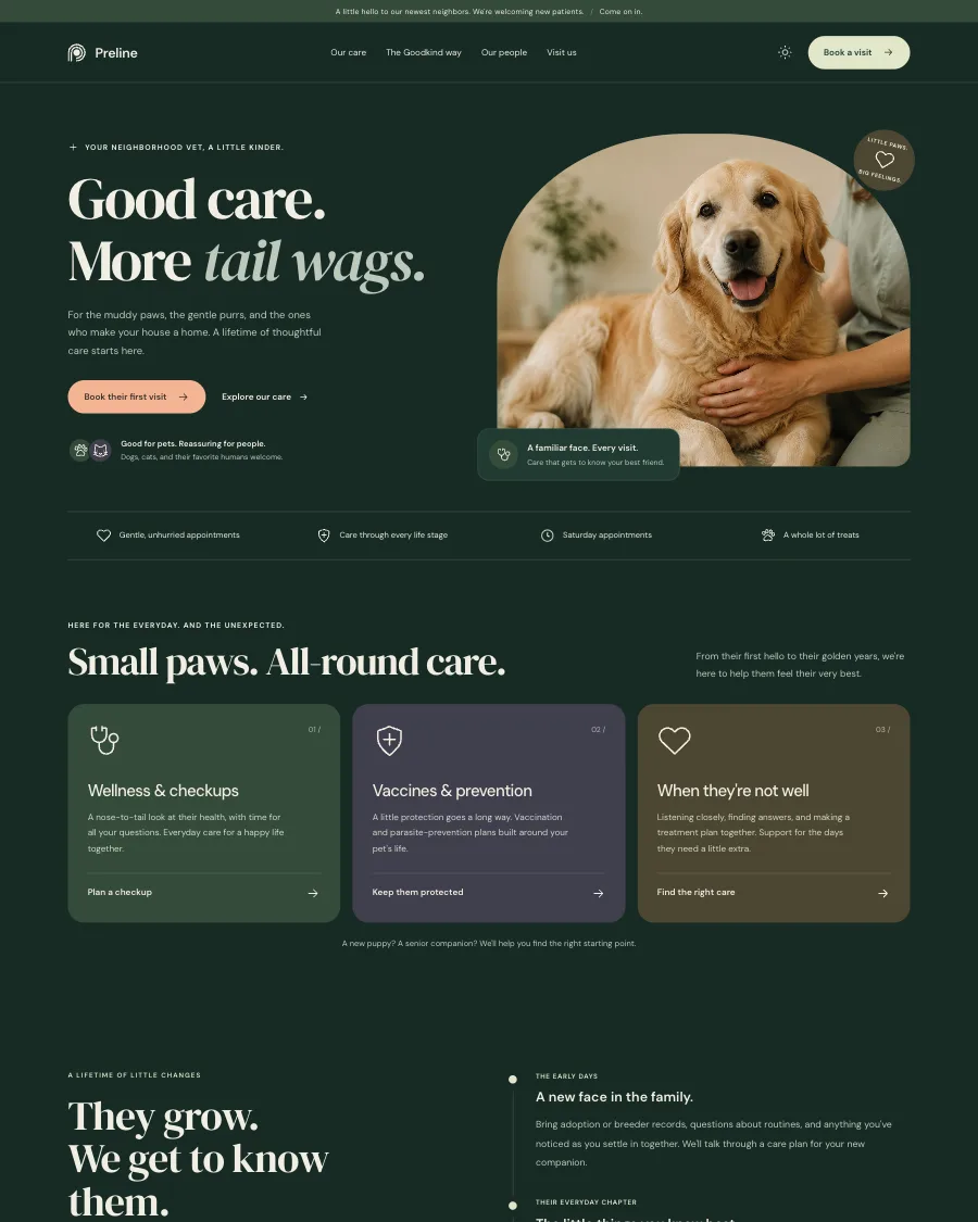 The Goodkind Veterinary demo in dark mode